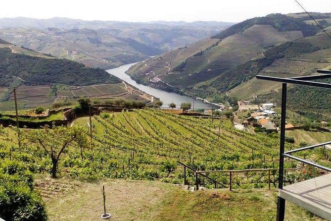 Douro Valley Small Group Tour From Porto - Additional Highlights
