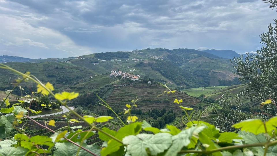 Douro Valley Tour - Common questions