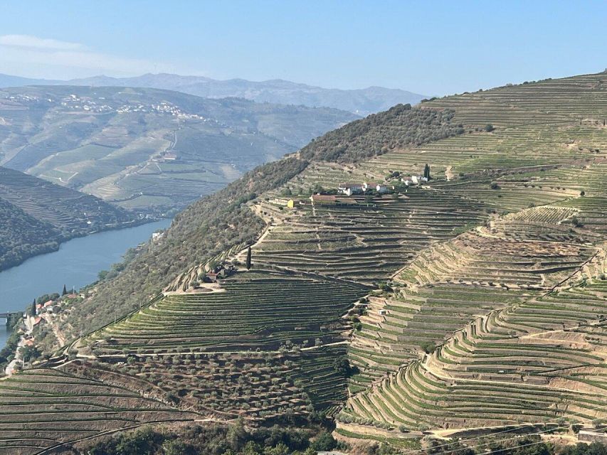 Douro Valley:Expert Wine Guide,Boat, Wine, Olive Oil & Lunch - General Information