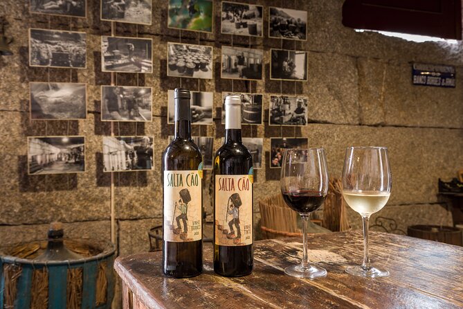 Douro & Vinho Verde: Family Wineries Private Tour in Portugal - Tasting Experience