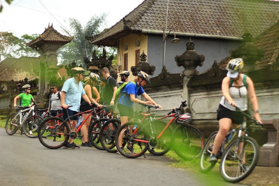 Downhill Bike Tours Through Rice Terrace Jungle With Meal - Customer Feedback and Testimonials