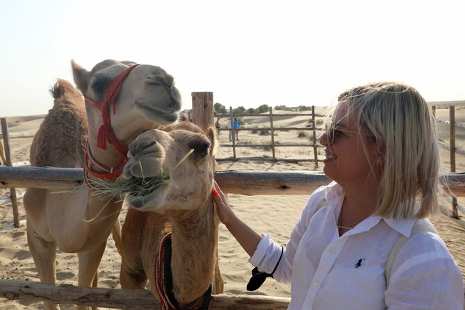 Dubai: Al Marmoom Oasis Vintage Safari With Camels, Stargazing & Bedouin Dinner - Cancellation Policy and Additional Information