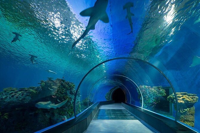 Dubai Aquarium and Underwater Zoo - Booking Process