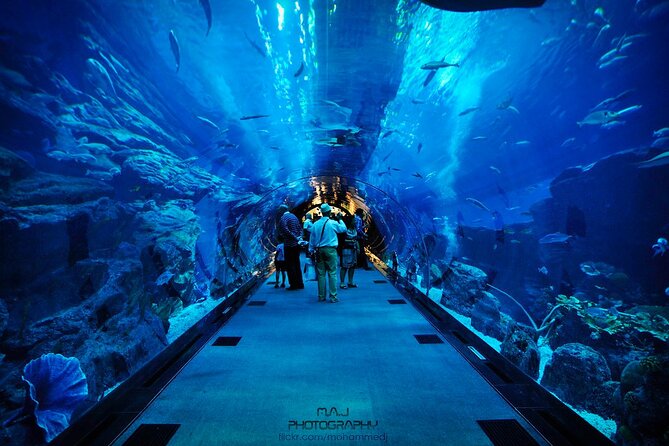 Dubai Aquarium & Underwater Zoo - Booking Details