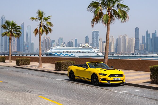 Dubai Cabrio Tour: Top Sights on a Guided Convertible Tour - Interesting Insights