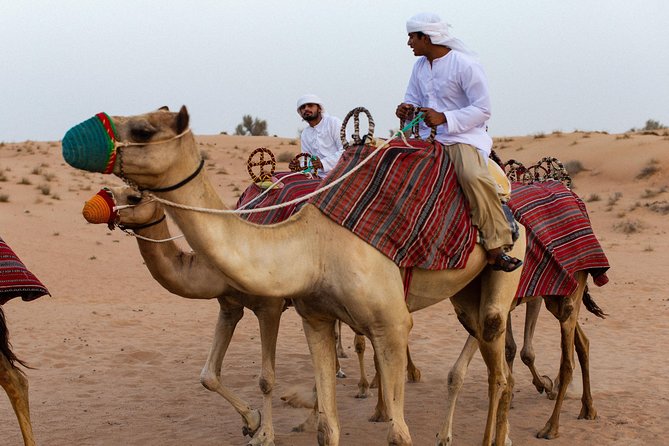 Dubai Camel Desert Safari, Traditional Meal & Heritage Activities - Additional Booking Information