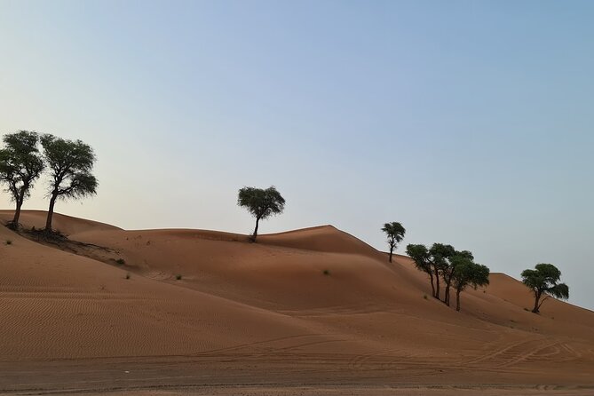 Dubai Desert 4x4 Dune Bashing, Self-Ride 30min ATV Quad, Camel Ride,Shows,Dinner - Weather Considerations