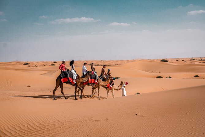 Dubai Desert Safari: Camel Ride, Sandboarding, BBQ & House Drinks - Customer Feedback and Viator Info