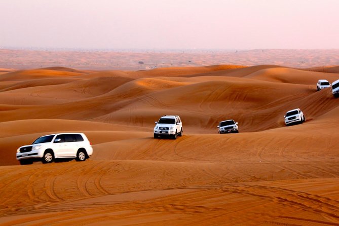 Dubai Desert Safari With BBQ Dinner, Sandboarding, Camels & Shows - Safety Measures and Service Quality