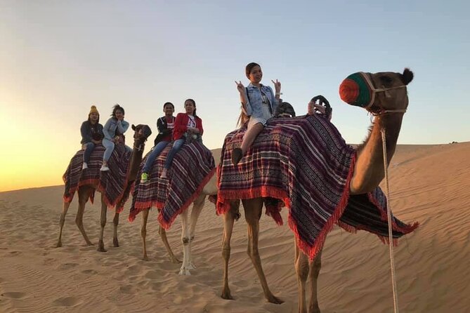 Dubai Desert Safari With Dune Bashing , Dinner Buffet & Entertainments - Traveler Reviews Analysis