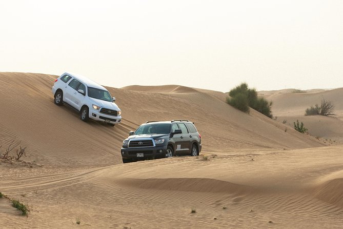 Dubai Desert Safari With Quads, BBQ Dinner, Camel Ride, & Shows - Logistics and Recommendations