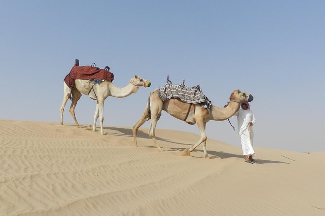 Dubai Dune Bashing, Self-Ride 60min ATV Quad, Camel Ride & Dinner - Safety Instructions and Requirements