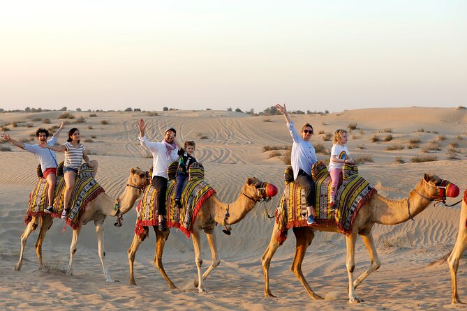 Dubai: Evening Camel Caravan, Bedouin Dinner With Al Marmoom Oasis - Reviews