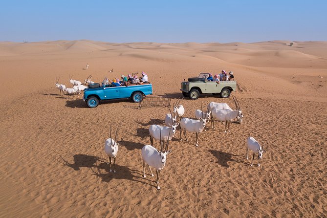 Dubai Heritage Land Rover Desert Safari With Traditional Dinner - Activities and Entertainment