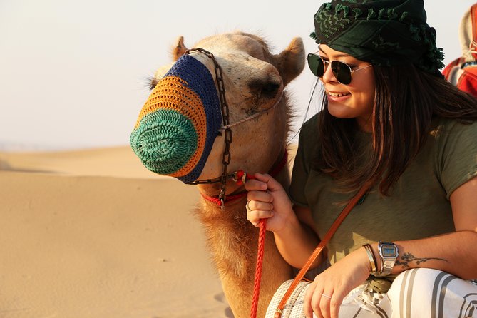 Dubai Lahbab Desert Safari With BBQ Dinner - Itinerary Highlights