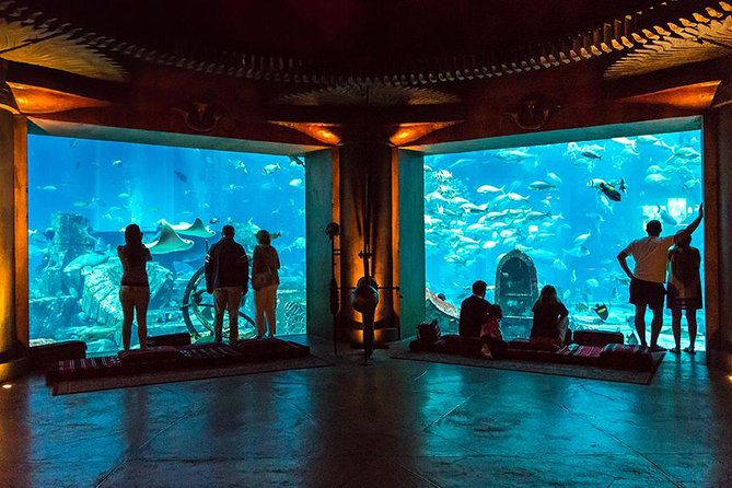 Dubai Mall Aquarium & Underwater Zoo - Inclusions