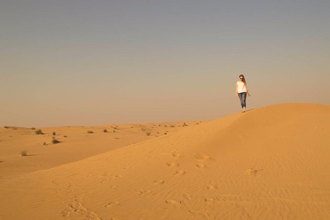 Dubai Red Dune Desert Safari: Camel Ride, Sandboarding & BBQ - Contact Details and Queries