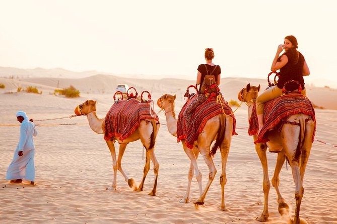 Dubai Red Dunes Desert Safari, With BBQ, Camel Ride, Sand Boarding And Much More - Overall Ratings and Reviews