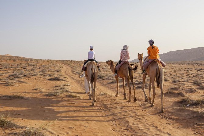 Dubai Sunset Camel Trekking With Shows & BBQ Dinner - Cancellation Policy and Refund Details