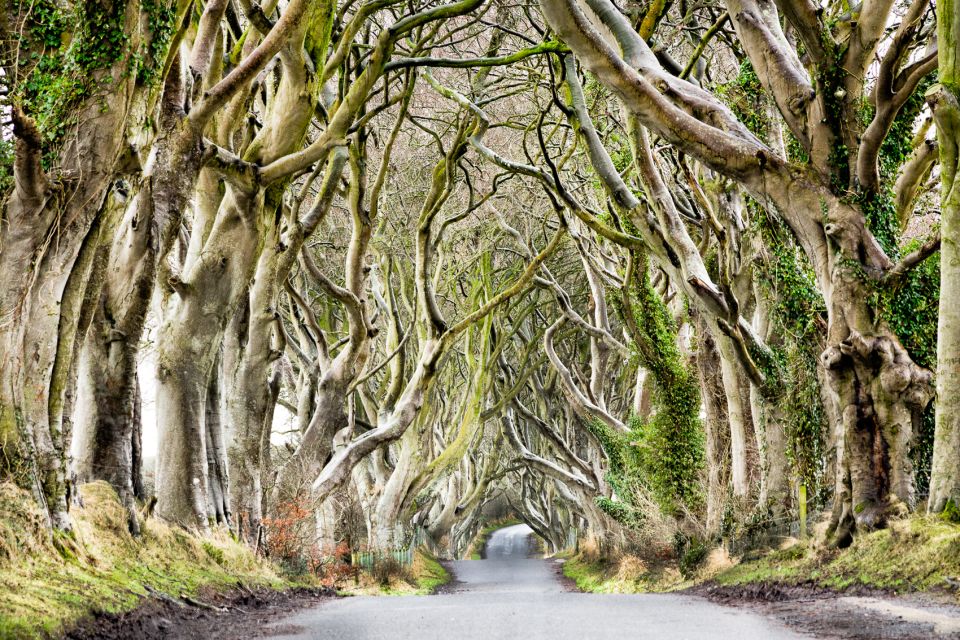 Dublin: Giants Causeway, Dark Hedges, Dunluce & Belfast Tour - Review and Ratings