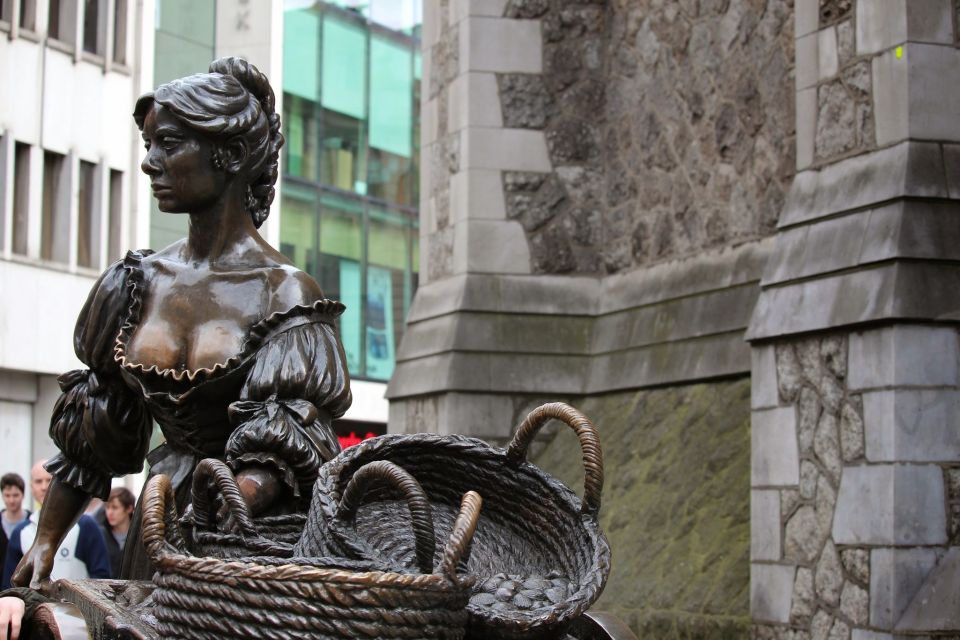 Dublin: Half-Day Private Walking Tour - Cultural Insights