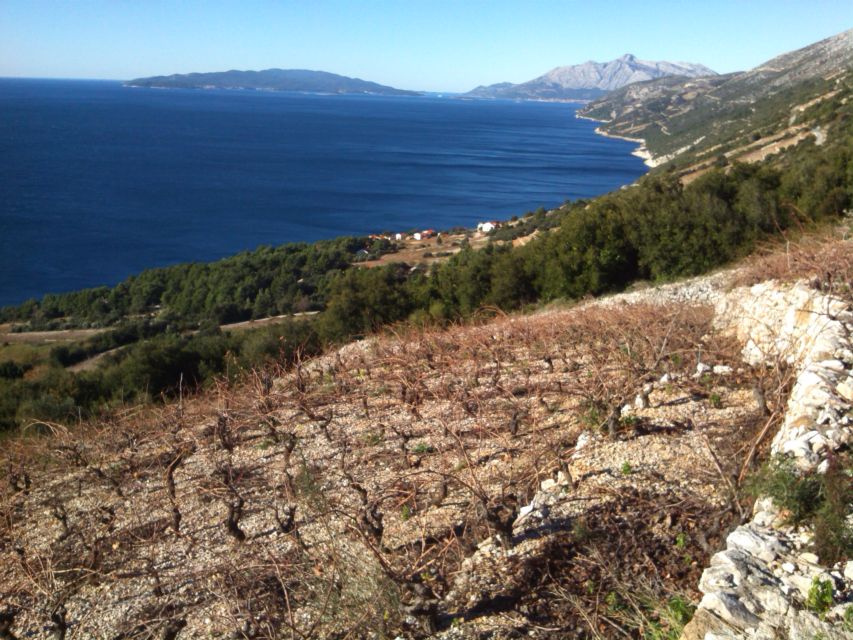 Dubrovnik: Deep Red Wine Tour of Pelješac - Common questions