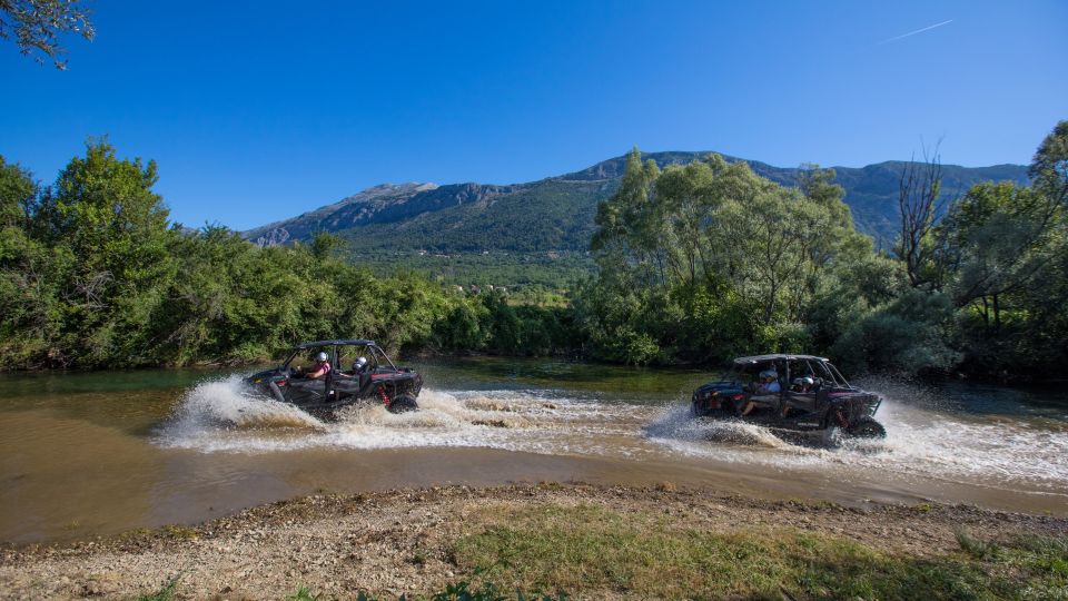 Dubrovnik: Kojan Koral Buggy Safari Tour - Testimonials