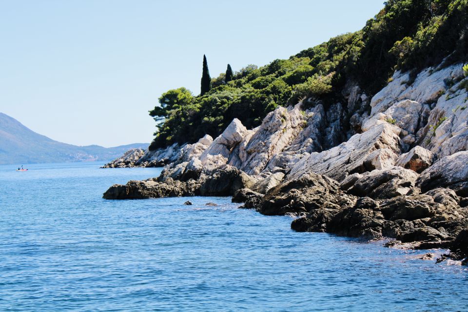 Dubrovnik: Lokrum Island & Betina Cave Swimming Adventure - Review Summary