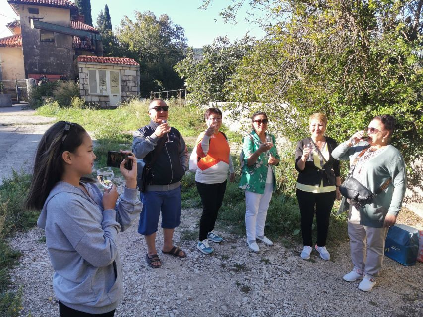 Dubrovnik: Panorama Tour With Free Time in the Old Town - Customer Review