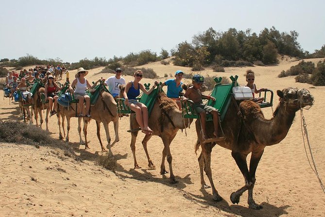E-Bike City Tour With Camel Safari on the Maspalomas Dunes - Cancellation Policy