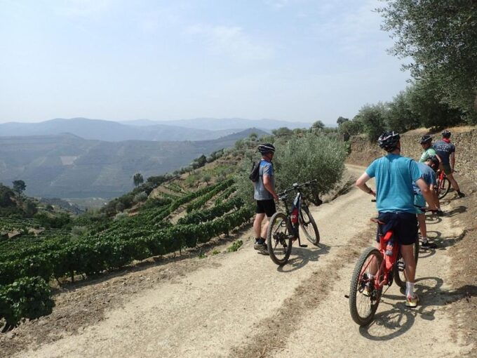 E-MTB - Vineyards Douro Tour - Cost and Booking