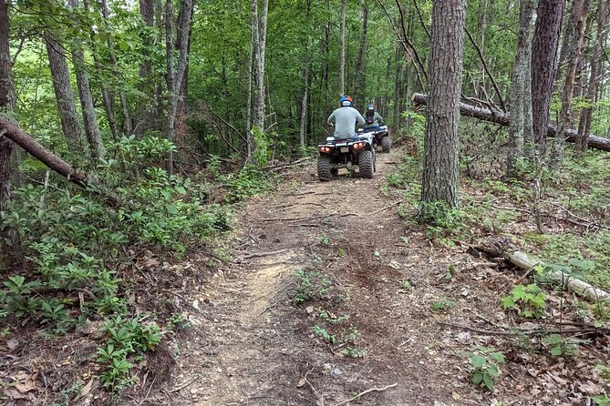 East Tennessee Off Road ATV Guided Experience - Traveler Experience
