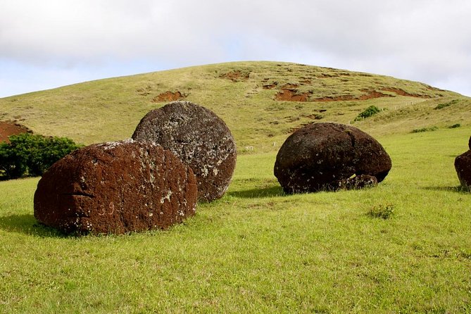 Easter Island Moai Archaeology Tour: Ahu Akivi, Ahu Tahai and Puna Pauâ Quarry. - Additional Information and Reviews
