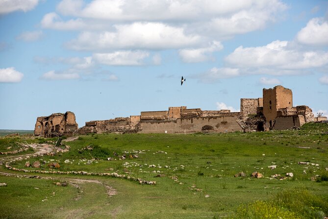 Eastern Turkey 12-Day Sightseeing Tour From Trabzon - Ancient History Unveiled