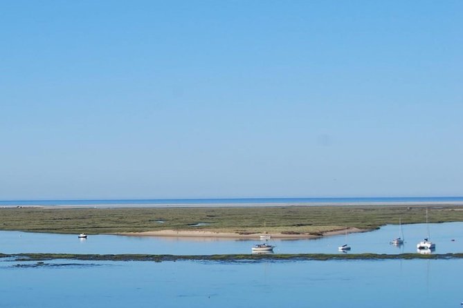 Eco Boat Tour in the Ria Formosa Lagoon From Faro - Wildlife Encounters