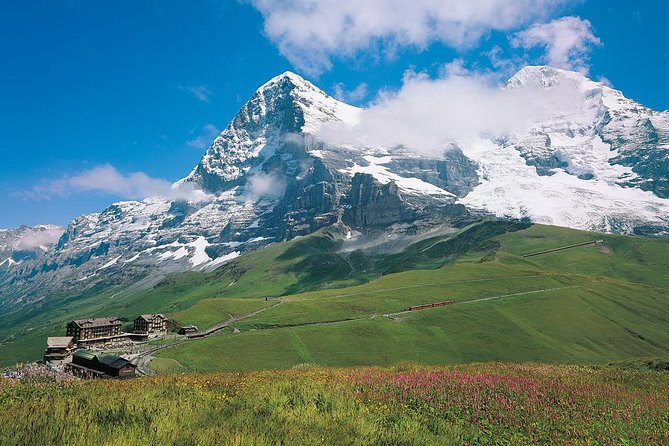 Eiger and Jungfrau Glacier Panorama Tour From Zurich - Common questions