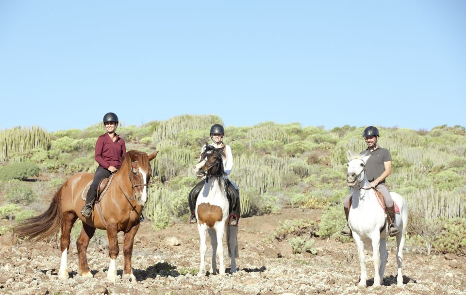 El Salobre: Horse Riding Adventure With Transfer Options - Customer Reviews