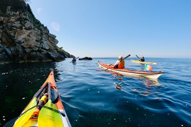 Elba Island Full Day Sea Kayak Tour - Traveler Reviews and Ratings