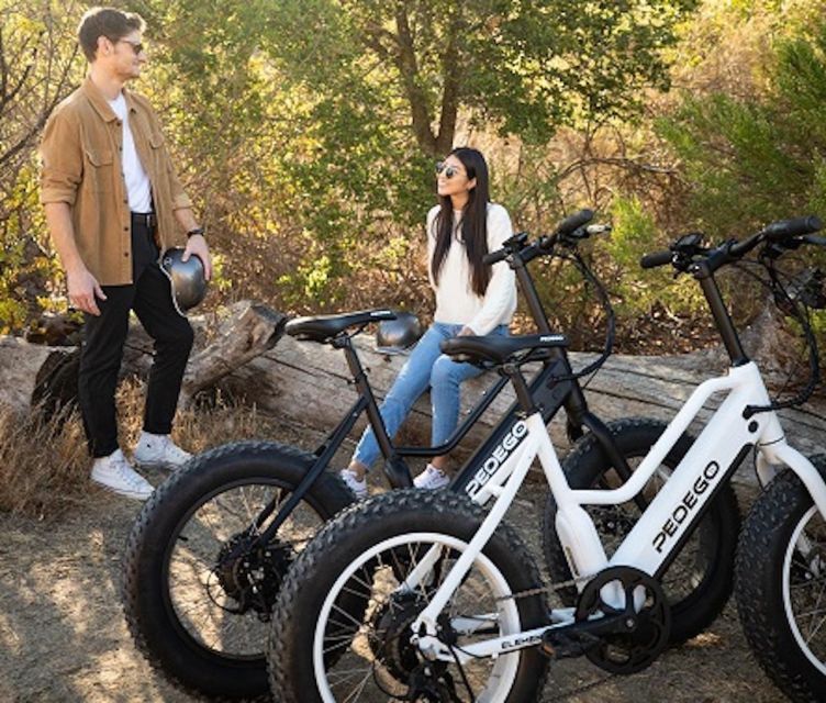 Electric Bike Rentals Leesburg, VA: Full Day or Half Day - Safety Precautions