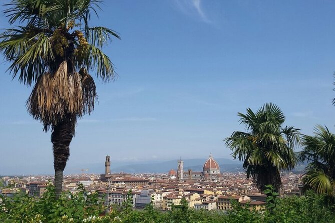 Electric Vespa Self-Drive Tour of Florence Hills With Local Products Tasting - Safety Guidelines and Requirements