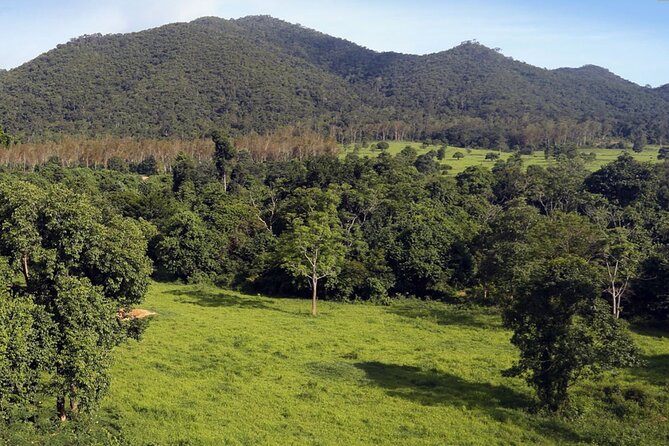 Elephant and Animal Watching in Kuiburi National Park - Join Afternoon Tour - Directions