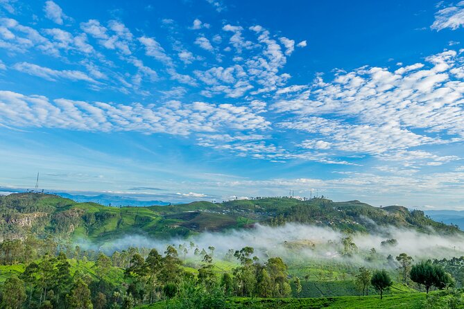 Ella 2-Night Private Tour  - Nuwara Eliya - Private Tour Benefits