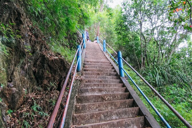 Emerald Pool: Jungle Tour, Private Full Day With Lunch - Safety Measures