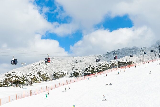 Enjoy Korea Ski Tour and Winter Ocean For 5D 4N - Ski Tour Experience
