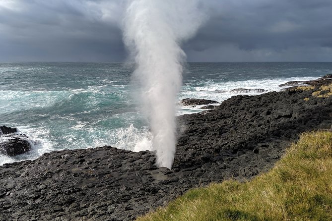 Erupting Blowholes and Ancient Rainforests SOUTH COAST OF SYDNEY PRIVATE TOUR - Transparent Pricing Details