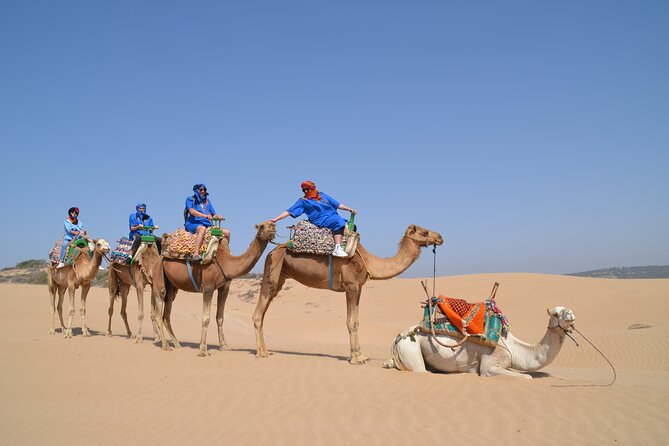 Essaouira 1 Hour Private Camel Ride - Common questions