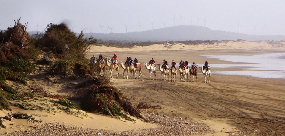 Essaouira: 2-Hour Camel Ride - Product Details