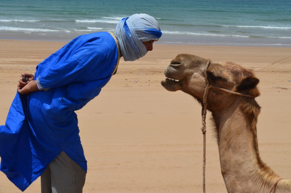 Essaouira: 3-Hour Dromedary Ride and Berber Tent Overnight - Highlights of the Experience