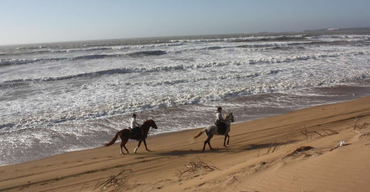 Essaouira: 3-Hour Horse Ride and Berber Tent Overnight - Itinerary