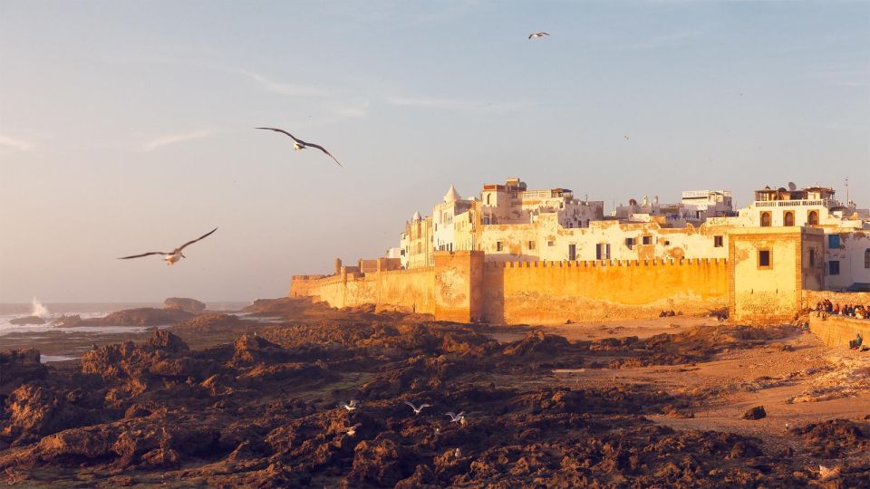 Essaouira: Cultural & Historical Sightseeing Tour - Half Day - Cultural Experiences Insight